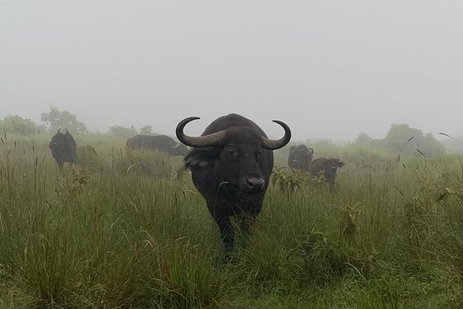 03 days Serengeti and Ngorongoro Crater group (camping) - Why this three-day route works