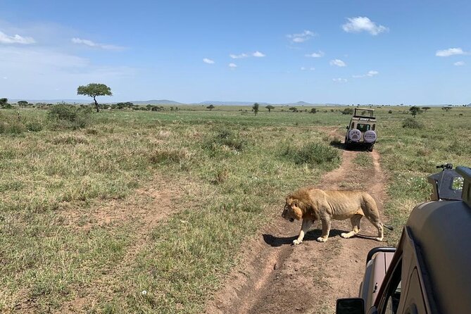 04 Days Tarangire, Serengeti and Ngorongoro crater group (Camping - Day 1: Tarangire gives you an easy wildlife introduction
