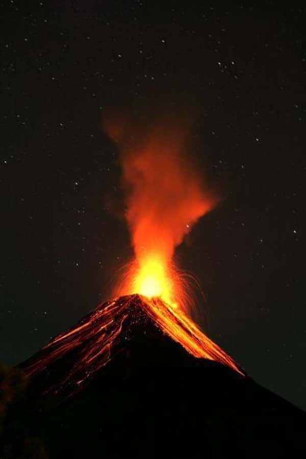 1 Day Acatenango Volcano Hike from Antigua - Entering old-growth cloud forest
