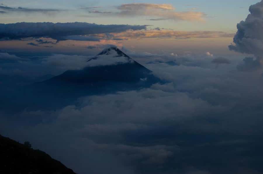 1 Day Acatenango Volcano Hike from Antigua - Pine forest, dry forest, and the final tree line