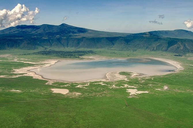 1 Day Joined Group Safari in Ngorongoro Crater National Park - Six hours of game viewing below the crater rim