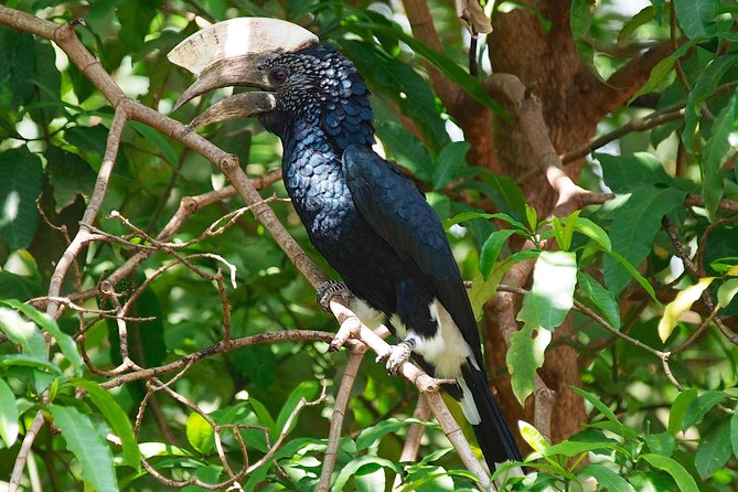 1 Day Joined Group Safari in Ngorongoro Crater National Park - What the $317.95 price really covers