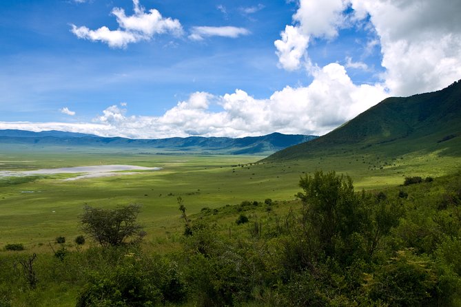 1 Day Joined Group Safari in Ngorongoro Crater National Park - Breakfast at the campsite around 7 a.m.