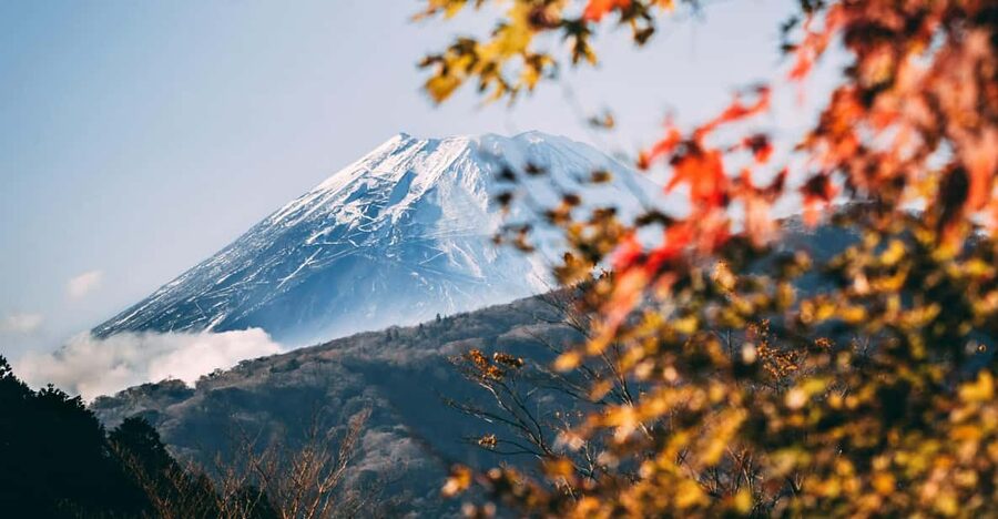 1-Day Mt Fuji and Hakone Sightseeing trip from Tokyo - Key points to know before you book