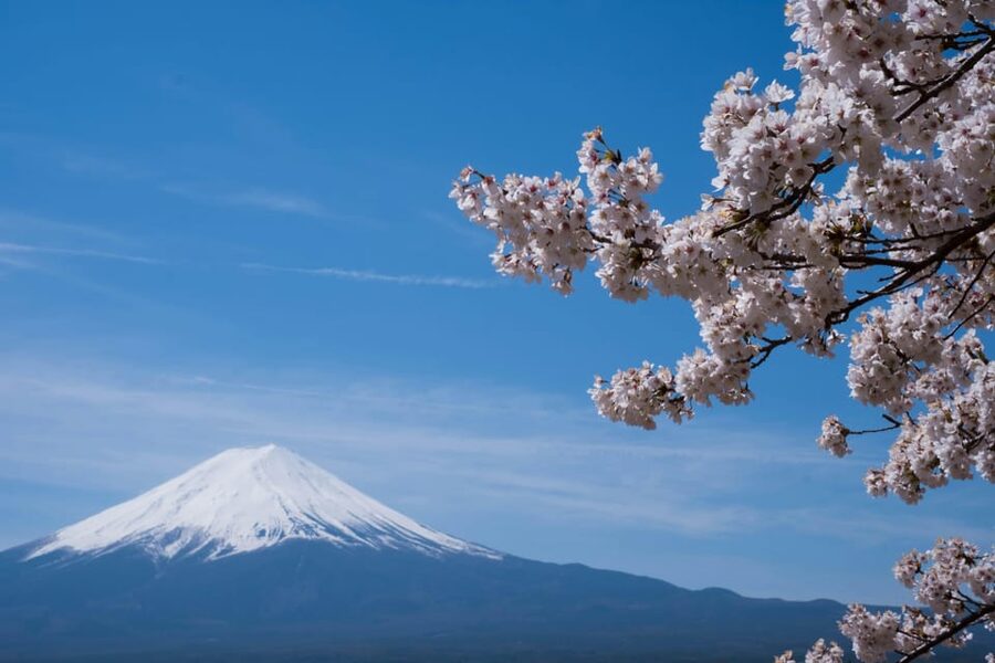 1-Day Mt Fuji and Hakone Sightseeing trip from Tokyo - Chureito Pagoda and the famous Fuji photograph