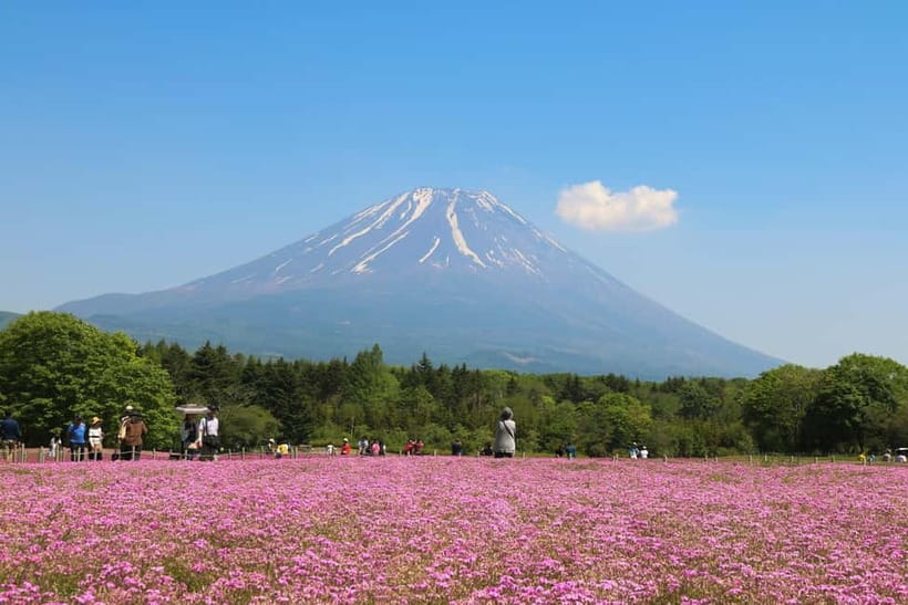 1-Day Mt Fuji and Hakone Sightseeing trip from Tokyo - Oishi Park for flowers, shopping, and more Fuji views