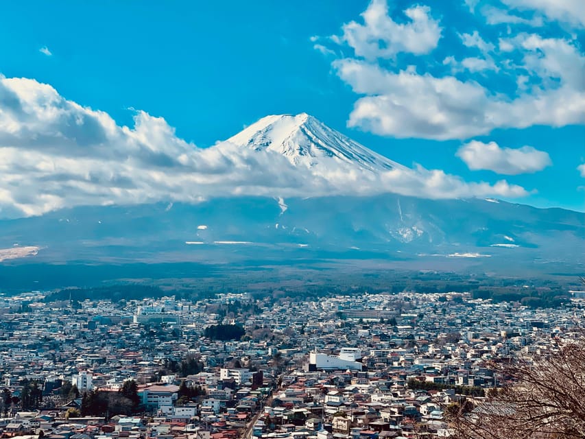 1-Day Mt Fuji and Hakone Sightseeing trip from Tokyo - The private vehicle is the real deciding factor