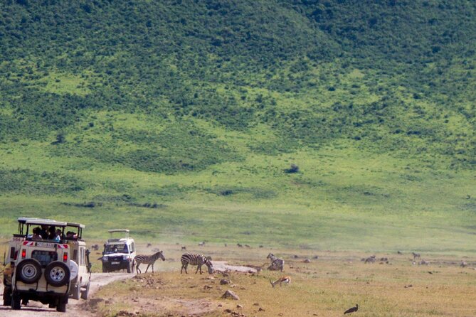1 Day Ngorongoro Crater Group Jioning Safari - Afternoon viewing before the climb out