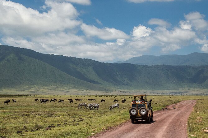 1 Day Ngorongoro Crater Group Jioning Safari - What the $325 price really covers