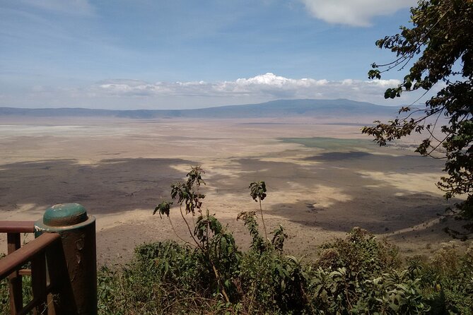 1 Day Ngorongoro Crater Group Jioning Safari - Who should book this Ngorongoro day trip