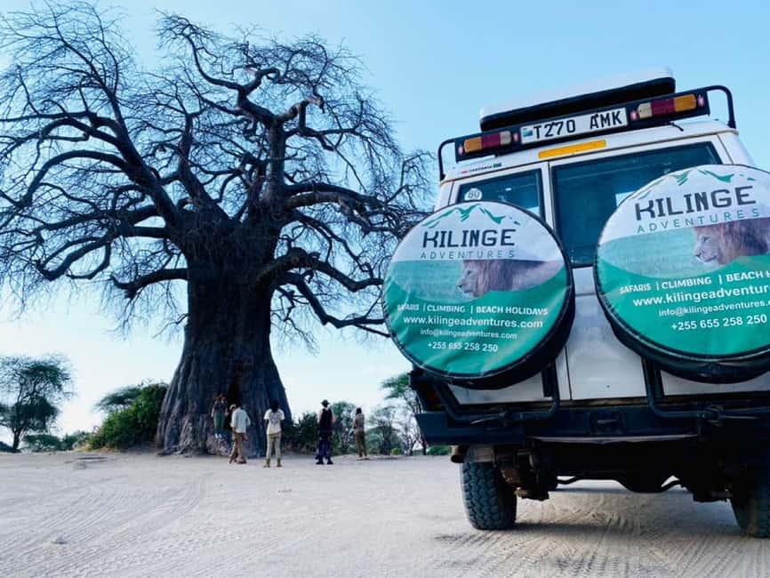 1-Day Ngorongoro Crater Special Big 5- Joining Group Safari - The early drive from Arusha or Moshi