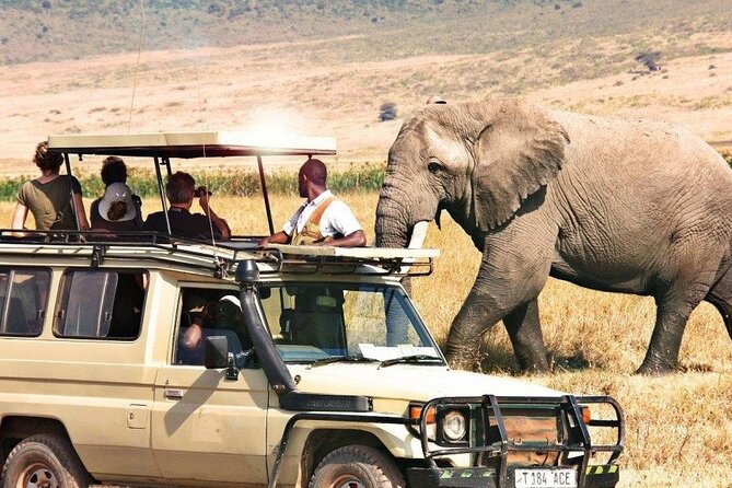 1 Day Private Ngorongoro Crater Safari - The dawn departure from Arusha