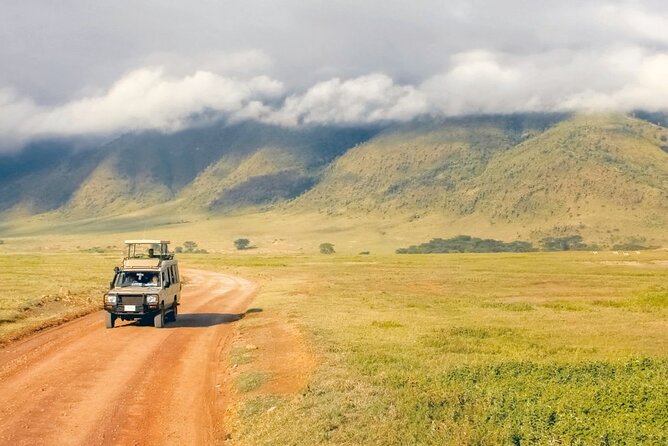 1 Day Private Ngorongoro Crater Safari - Wildlife on the crater floor