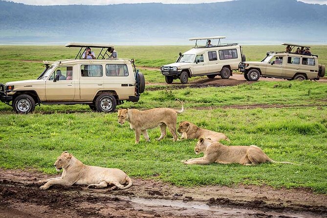 1 Day Private Ngorongoro Crater Safari - Lunch beside the hippo pool