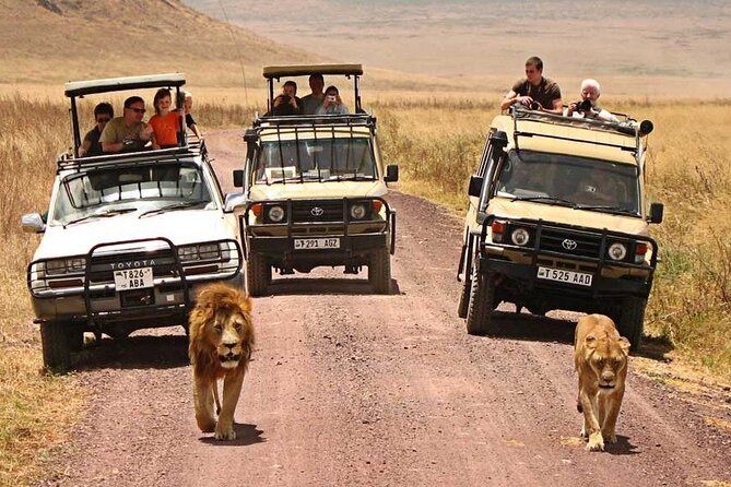 1 Day Private Ngorongoro Crater Safari - The private format and guide experience