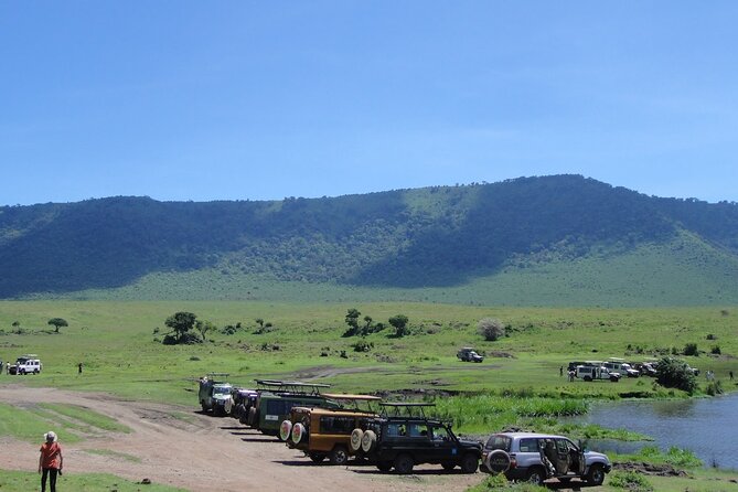 1 Day Private Ngorongoro Crater Safari - Who should book this day safari