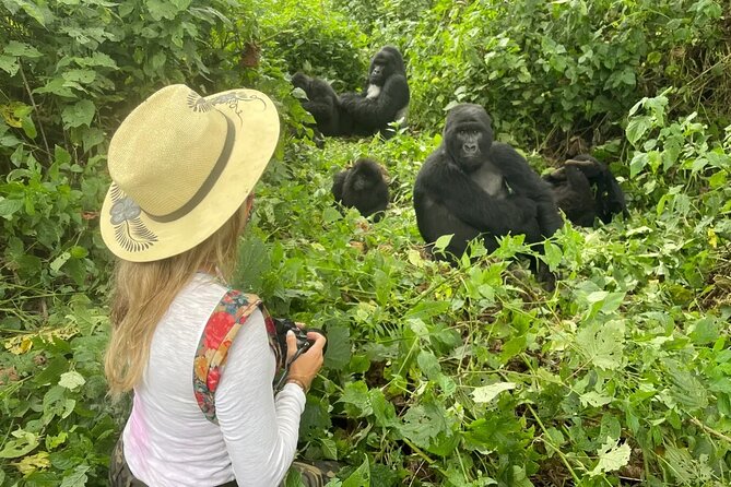 1 Day Rwanda Gorilla Trekking Tour In The Volcanoes National Park - An optional hour in Ruhengeri