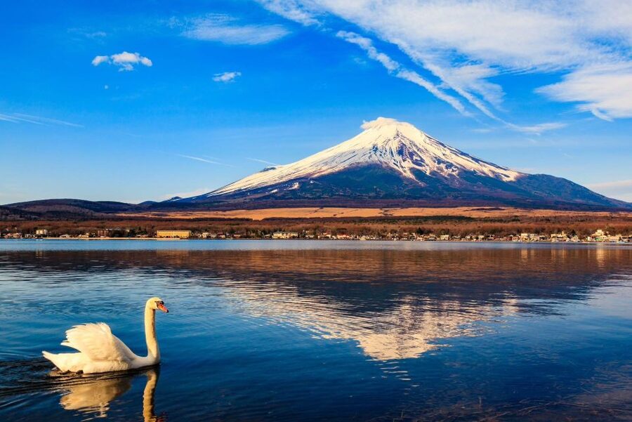 1-Day trip: Mt Fuji + Kawaguchi Lake area - Why this private Fuji day works well from Tokyo