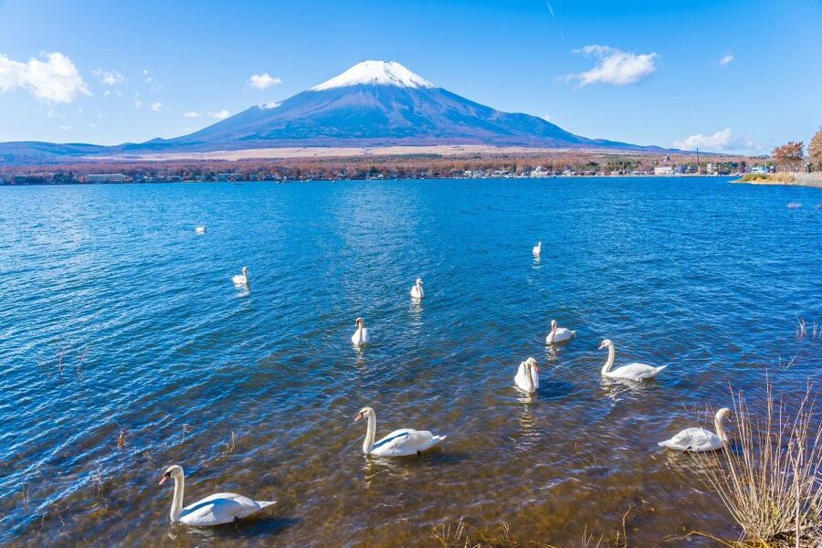1-Day trip: Mt Fuji + Kawaguchi Lake area - Mt. Fuji Panorama Ropeway and Lake Kawaguchi Cruise