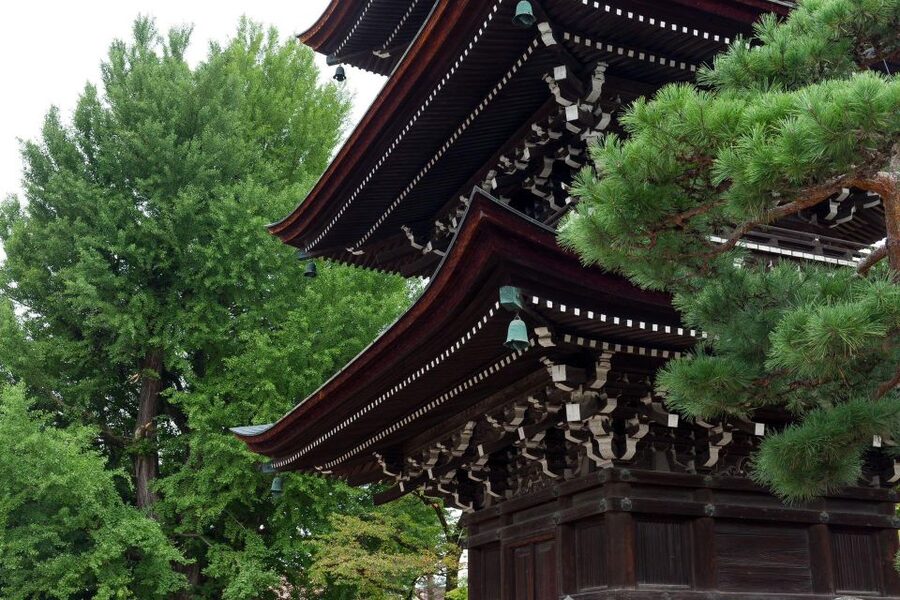 1-Day trip: Mt Fuji + Kawaguchi Lake area - Pickup, timing, and the limits of the day