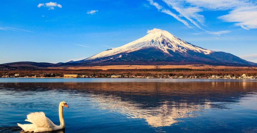 1-Day trip: Mt Fuji + Kawaguchi Lake area - Oishi Park and the seasonal side of Lake Kawaguchi