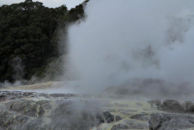 2-Day Hobbiton, Rotorua, Waitomo Caves Tour from Auckland with Accommodation - Is $930.24 good value?