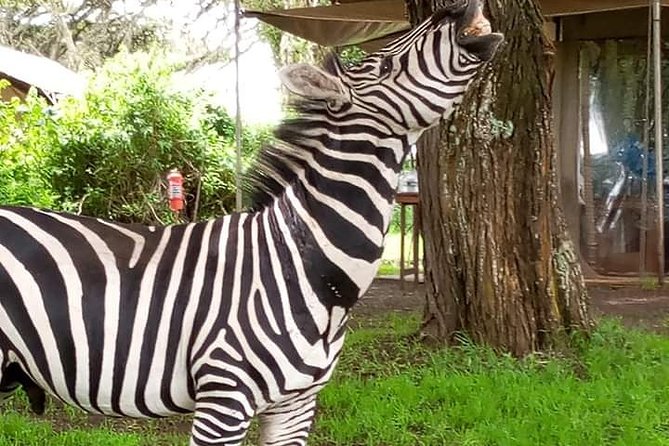 2 Day Safari Tarangire and Ngorongoro Crater - Overnight arrangements and what the price covers