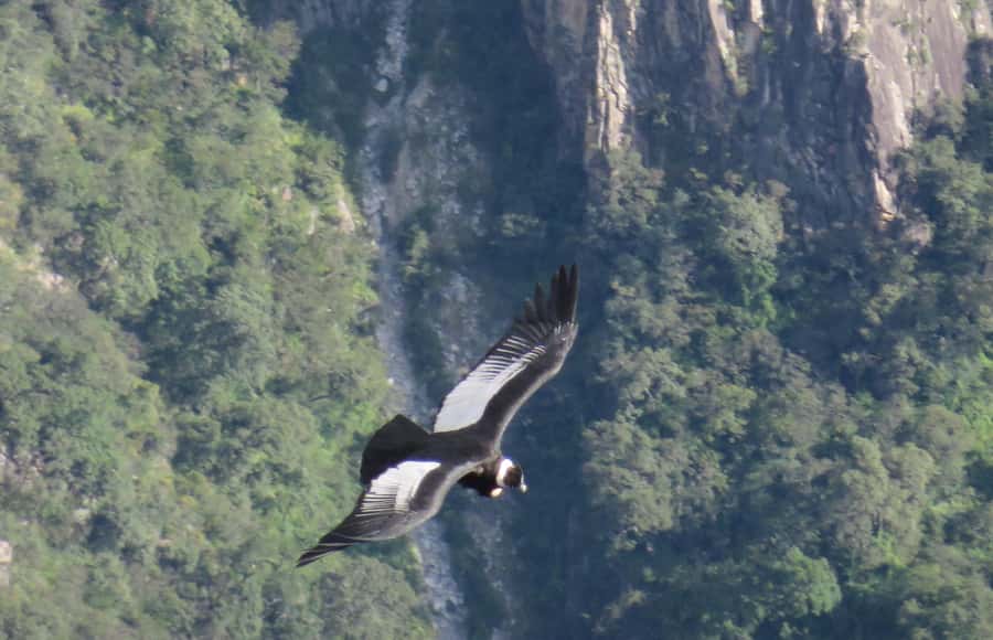 2-Day Tour Colca Canyon in Arequipa with end in Puno - Chivay overnight: hot springs and a folk evening