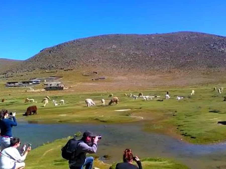 2-Day Tour Colca Canyon in Arequipa with end in Puno - Day two: the condor lookout and the Colca Valley