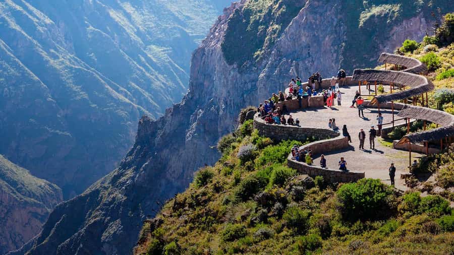 2-Day Tour Colca Canyon in Arequipa with end in Puno - Day one: vicuñas, coca tea, and the climb to 4,800 meters