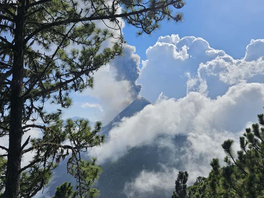 2-day tour from Antigua 1 night in Acatenango Volcano - The long ascent through forest and farmland