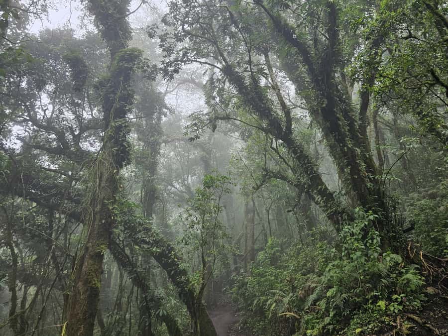 2-day tour from Antigua 1 night in Acatenango Volcano - Descending to La Soledad and Antigua