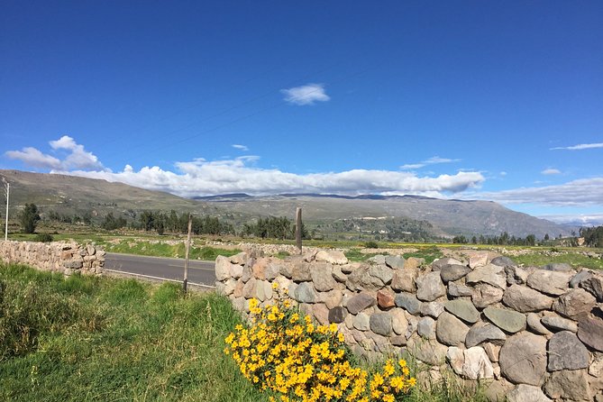 2 Day Trek Including Transfer to Puno / Colca Canyon - Cruz del Condor and the great canyon view