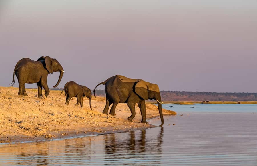 2 Days 1 Night Tarangire & Ngorongoro Crater - Why this two-day safari works