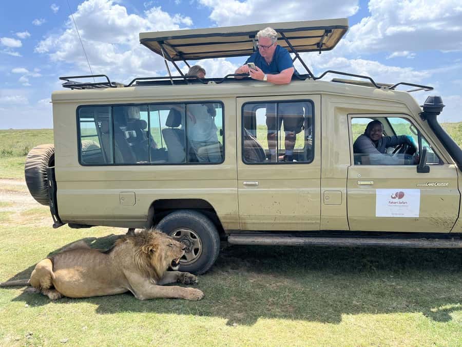 2 Days 1 Night Tarangire & Ngorongoro Crater - Day 2: Into Ngorongoro Crater at 6:30 AM