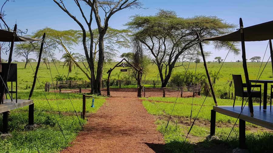 2 Days 1 Night Tarangire & Ngorongoro Crater - The 4x4, guide, meals, and group format