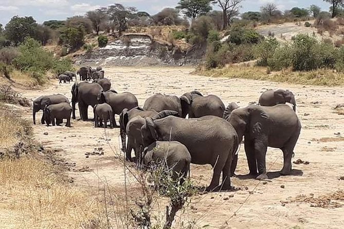 2 Days Camping Safari, Lake Manyara & Ngorongoro Crater - The overnight campground and what is included