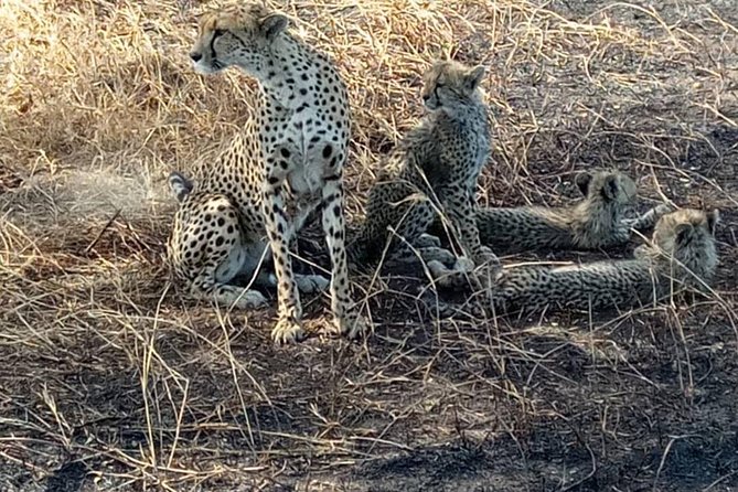 2 Days Camping Safari, Lake Manyara & Ngorongoro Crater - Lake Magadi and the picnic lunch