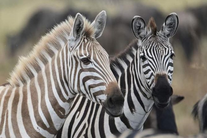 2 Days Camping Safari, Lake Manyara & Ngorongoro Crater - Leaving Arusha after the 8:30 am start