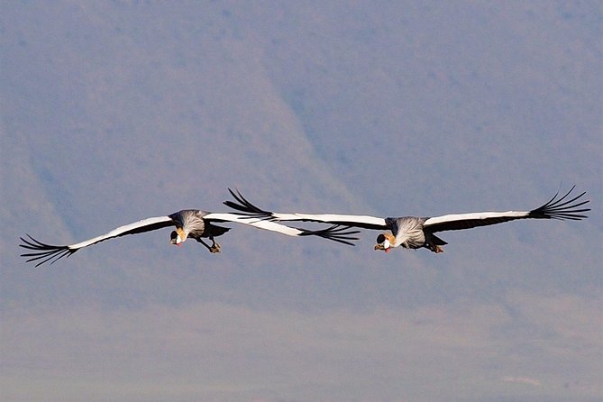 2 Days Joined Group Tarangire and Ngorongoro Crater National Park - What is included in the price