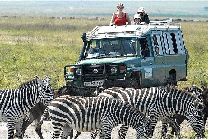 2 Days Joined Group Tarangire and Ngorongoro Crater National Park - Day two: inside Ngorongoro Crater