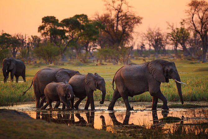 2 days Majestic Tanzania safari Tarangire and Ngorongoro Crater - Why this two-day route works