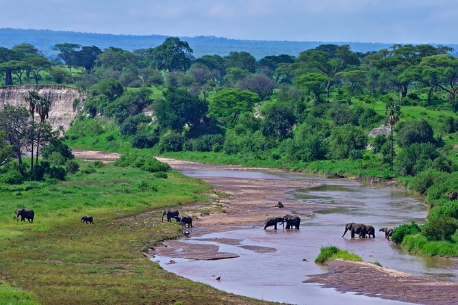 2 days Majestic Tanzania safari Tarangire and Ngorongoro Crater - Day one: baobabs and elephants in Tarangire