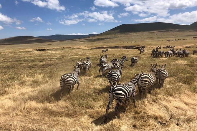 2-Days Private Midrange Safari; Tarangire & Ngorongoro Crater - Guides, communication, and the human side of the safari