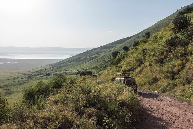 2-Days Safari Tarangire Park and Ngorongoro Crater - Day two: Ngorongoro Crater and the Big Five