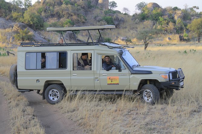 2 Days Wildlife game drives Through Tarangire and Ngorongoro Crater - Day 2: Inside Ngorongoro Crater