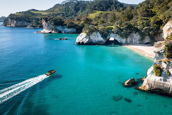 2 Hour Cathedral Cove and Volcanic Coast Cruise with Shade Canopy - Key points to know before you book