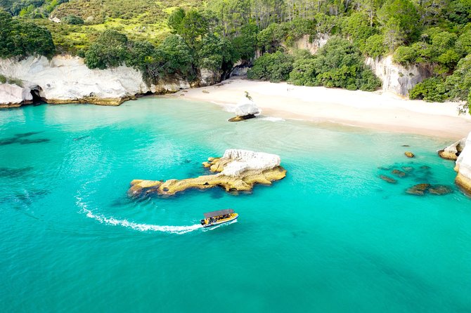 2 Hour Cathedral Cove and Volcanic Coast Cruise with Shade Canopy - Passing Hahei and its offshore islands