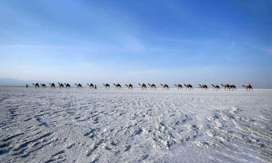 2-Night 3-Day Danakil Depression Tour without Flights - Key points before you reserve