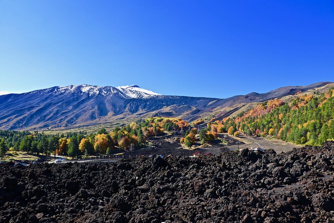 2002 Crater Excursion - Northern Etna - The soft-ash descent through beech forest
